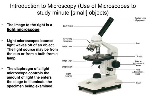 light for microscope|An Introduction to the Light Microscope, Light Microscopy .